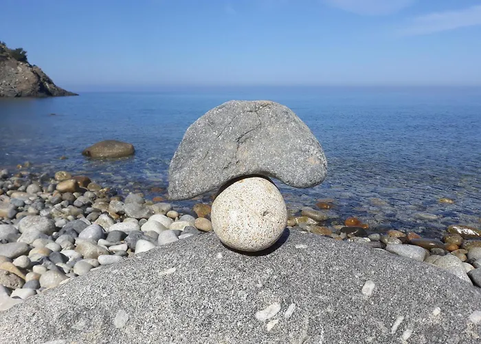 Il Mirto
